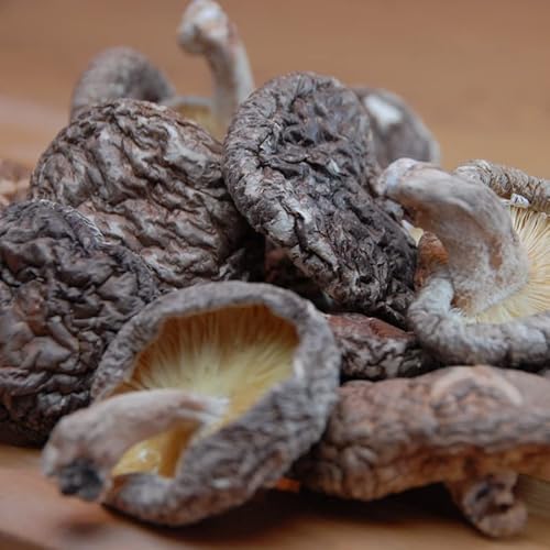 啪Y ؍͔| ~ ő 60g |Xg