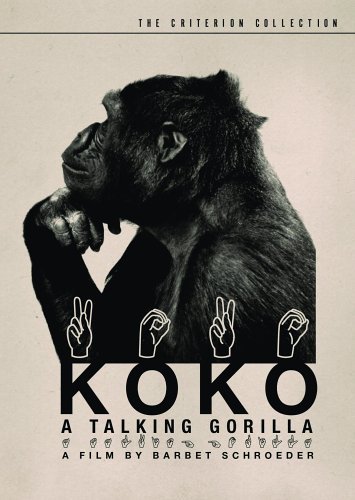 Koko: A Talking Gorilla (The Criterion Collection)