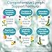 GAVYNETH Lymphatic Drainage Supplements for Lymph System Support – Echinacea, Dandelion & Burdock for Immune & Circulation Support, Vegan Herbal Formula for Women & Men, 60 Capsules
