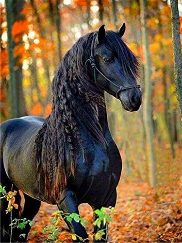 Bimkole Kit de peinture diamant 5D - Motif: cheval - Décoration diamant - 30 x 40