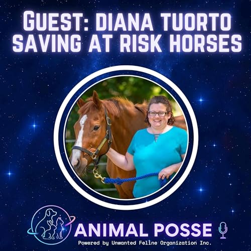 How Horse Rescue United Protects At‑Risk Horses