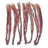 乾燥霊芝 キノコ 鹿角 霊芝 霊芝 アンボインセンス Lu Jiao lingzhi (250g)