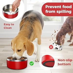 LIHONG Stainless Steel Dog Bowls, Non Slip Dog Bowls, Dog Food Water Bowls RED M LIHONG Stainless Steel Dog Bowls, Non Slip Dog Bowls, Dog Food Water Bowls RED M
