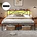 DICTAC Bettgestell 160x200 mit LED Beleuchtung Bett 160x200 mit Steckdose und USB-Ladefunktion &Holzkopfteil Metallbett mit Lattenrost aus Metall,Bettrahmen mit Stauraum unter dem Bett, Höche 32
