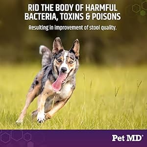 Pet MD Stool-Fix - Powdered Clay Anti Diarrhea for Dogs & Cats - Anti Diarrheal Treatment for Upset Stomach Relief, Promotes Normal Stool - 100g Pet MD Stool-Fix – Powdered Clay Anti Diarrhea for Dogs & Cats – Anti Diarrheal Treatment for Upset Stomach Relief, Promotes Normal Stool – 100g
