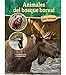 Animales del bosque boreal (Boreal Forest Animals), Guided Reading Level O (Fauna del bioma) (Spanish Edition)