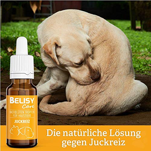 BELISY Juckreiz Bachblüten Tropfen für Hunde & Katzen - gegen Juckreiz - Notfall Tropfen für Haustiere - Fellpflege & Hautpflege - Original Mischung nach Dr. Bach - 20 ml