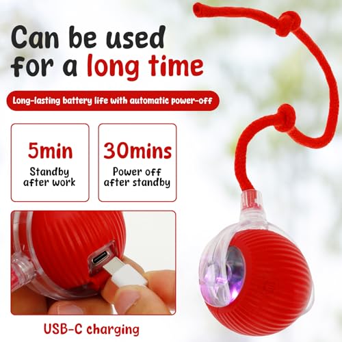 BOBASH 2 Stück Interaktives Katzenspielzeug Ball Katzenball Spielzeug Elektrisch 360° Rolling Ball Hund Hundespielzeug mit USB für Katzen Hunde