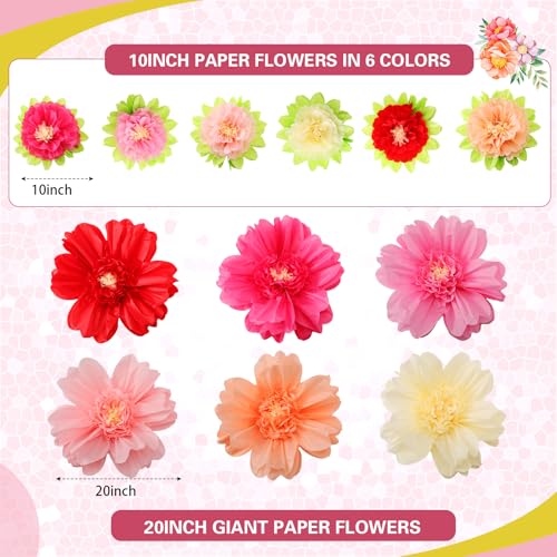 Image of TaoBary Large Colorful Tissue Paper Flowers Giant Fiesta Paper Pom Poms Classroom Wall Decor Mexican Birthday Party Decorations Wedding Backdrop(20 inch and 10 inch,Pink, Beige, Light Orange,36 Pcs)