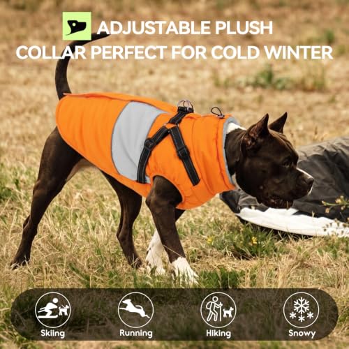 Image of Small Dog Coat with Harness Built in Warm Dog Winter Jacket