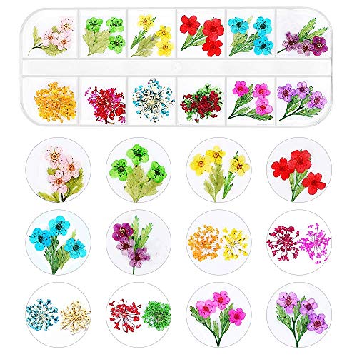 Valuu Nail Art Dried Flowers Sticker Decals Natural Real Dry Flower Petal Leaf Nail Art Decoration Fashionable 3D Nail Stickers for DIY Nail Salon Nail Design