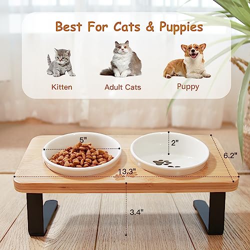 Ceramic Elevated Cat Bowls, 10° Tilted Raised Cat Food Bowls for Food and Water, Indoor Cat Dishes with Bamboo Stand Anti Vomiting for Cats and Puppy, Pet Bowl Set with Anti Slip Feet, Dishwasher Safe