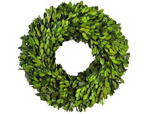 Tradingsmith Preserved Boxwood Wreath 10-inch