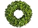 Preserved Boxwood Wreath - 10"