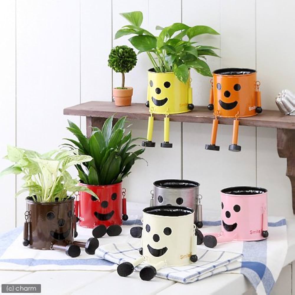 Amazon.co.jp: ケーイーアイ GREENHOUSE ブリキマンポット M