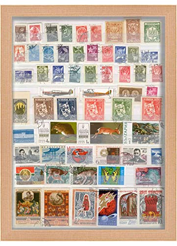 6x8 Natural Shadowbox Frame - Shadow Box Frame Interior Size 6x8 x 1.25 Inches Deep - Natural Frame Made to Display Items Up to 1.25 Inches Deep! Includes Shatter Resistant Acrylic, Backing, Hardware