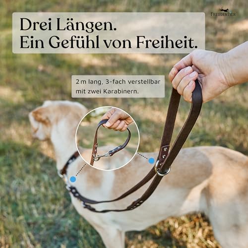 FREUDENTIER Hundeleine Leder 2m - Lederleine verstellbar - Führleine aus Fettleder für kleine, mittelgroße & große Hunde - Alsterufer Kollektion (Chocolate, 12mm breit)