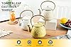 Toptier Cast Iron Tea Kettle, Stovetop Safe Japanese Cast Iron Teapot with Infuser, Leaf Design Tea Kettle for Stove Top Coated with Enameled Interior for 32 Ounce (950 ml), Creamy White #1