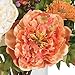 Nearly Natural 4689 Mini Peony Silk Arrangement,Assorted 10 x 10 x 10