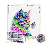 kit de pintura de diamante incluye: lienzos pintados, diamante 9 páginas y 13 páginas a todo color de los rhinestones de perlas, placas de plástico, arcilla, unas pinzas.
