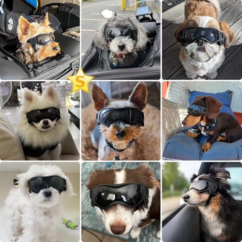 Image of Small Breed Dog Goggles, Sunglasses with UV Protection for Outdoor Riding & Driving, Black