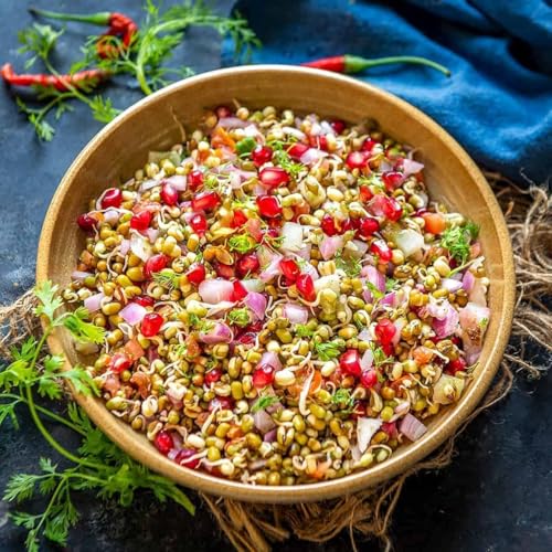 Image of Shuttle Art 2Pack Sprout Maker,4 layer Plastic Grocery Container Sprouted Grains Seeds Dal Channa Chole Organic Sprouting Jar, Sprouting Set for Organic Home Making Fresh Beans (500ml,4-Compartments)