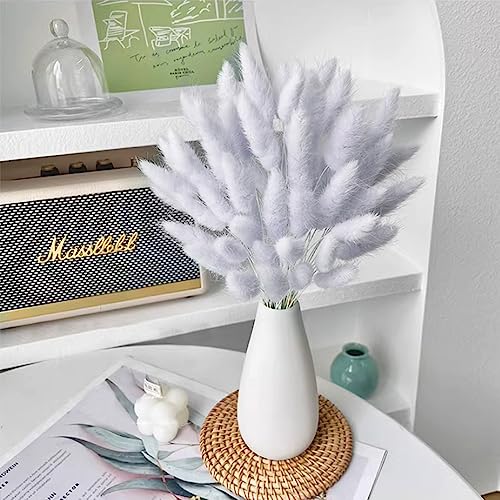 60PCS Rabbit Tail Grass Dried Flowers Dried Natural Floral Arrangement Bunch Decoration Dried Grass,Eternal Flower Dried Grass for Home,Wedding,Party,Flower Bouquet,Photo Props Decor (Grey)