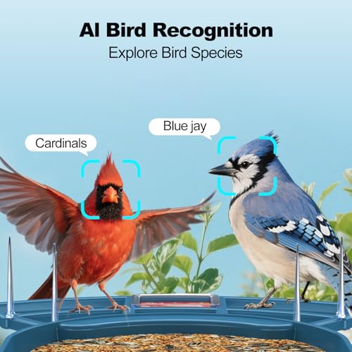 Image of Fazoxo Bird Feeder with Camera,Birds House Camera,Solar Powered,AI Bird ID