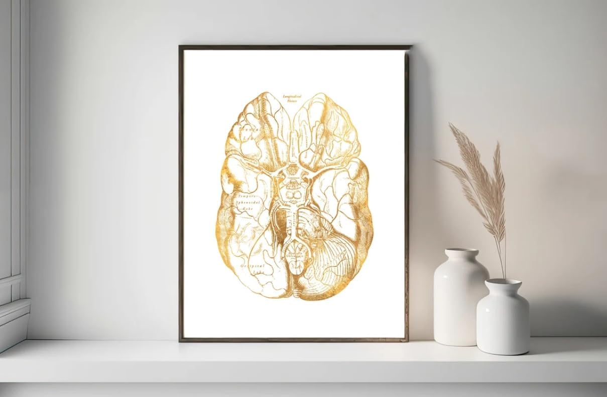 NATVVA 6 Pieces Beauty Injection Filler Aftercare Print Poster Der-mal Filler Bo-tox Aftercare Wall Art Canvas Artwork Face Anatomy Prints Painting Beauty Room Wall Decor No Frame