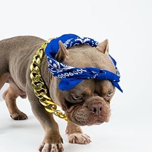 2Pack Dog Costume Set, Adjustable Gold Plated Dog Chain Collar and Headband for Dogs Square Satin Head Scarf Head Cover Puppy Bathroom Apparel Party Costume Accessories 2Pack Dog Costume Set, Adjustable Gold Plated Dog Chain Collar and Headband for Dogs Square Satin Head Scarf Head Cover Puppy Bathroom Apparel Party Costume Accessories
