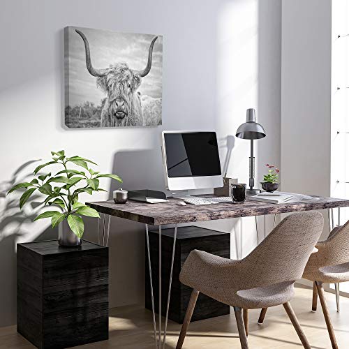 Stupell Industries Home Black And White Highland Cow Photograph Canvas Wall Art, 24X30, Multicolor #TOP3