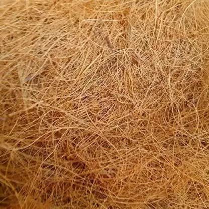 GO7 Coco Fiber Nesting Material (100gram) Coco Fiber Nesting Material Suitable for All Birds. This Pack Contains of Sterilized Natural Coconut Fiber Nesting Material. (B09VL32Z21) Amazon Price History, Amazon Price Tracker