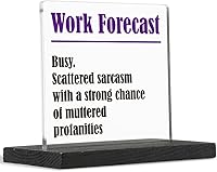 THRXOBN Funny Profanity Acrylic Desk Decor for Coworkers - Cute Office Gift, Joke Birthday Plaque, Transparent 4x4 Sign WYZ1