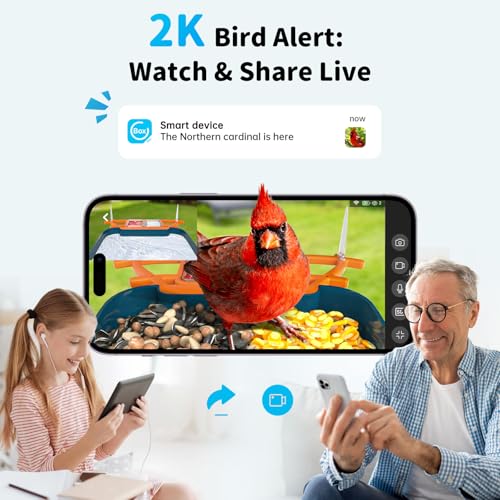 Smart Solar Bird Feeder with Camera DROPS TO - image 2