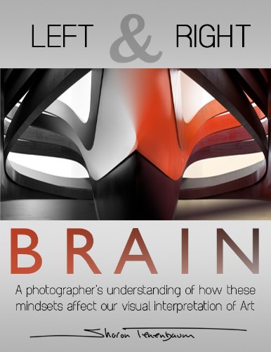 Télécharger Left and Right Brain: A photographer's understanding how these mindsets affect our visual interpreta PDF