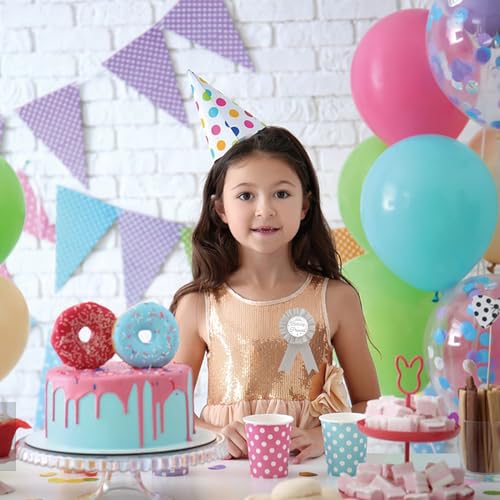 Birthday Princess Tinplate Badge Pin, Crown Birthday Girl Button Pin, Silver Rosette Happy Birthday Badge Pin for Girl, Brooch Buttons for Birthday Party, Happy Birthday Award Badge Pin for Baby Girl4