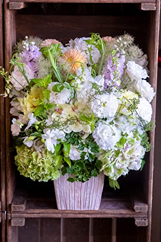 t[Xg t[AWg 4LTCY zCg&O[ b܎܃fUCi[ďC ԑ   t[ Mtg v[g 蕨 a j LO ސEj  