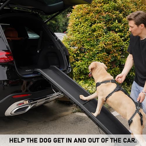 COODEO Mobility Dog Lift Harness, Support Sling & Walking Sling for Dogs, Pet Rear Leg Rehabilitation Support Vest, Dog Carrier for Senior Dogs with Joint Injuries, Arthritis, Up Stair (Black, M) - Image 3