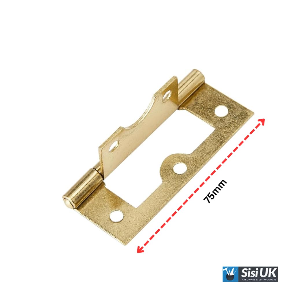 4 Pcs Brass Flush Door Hinges 75mm (3 inch) Heavy Duty Non-Mortise No Noise Bifold Door Hinges for Internal External Doors Cupboard Cabinets - Image 2