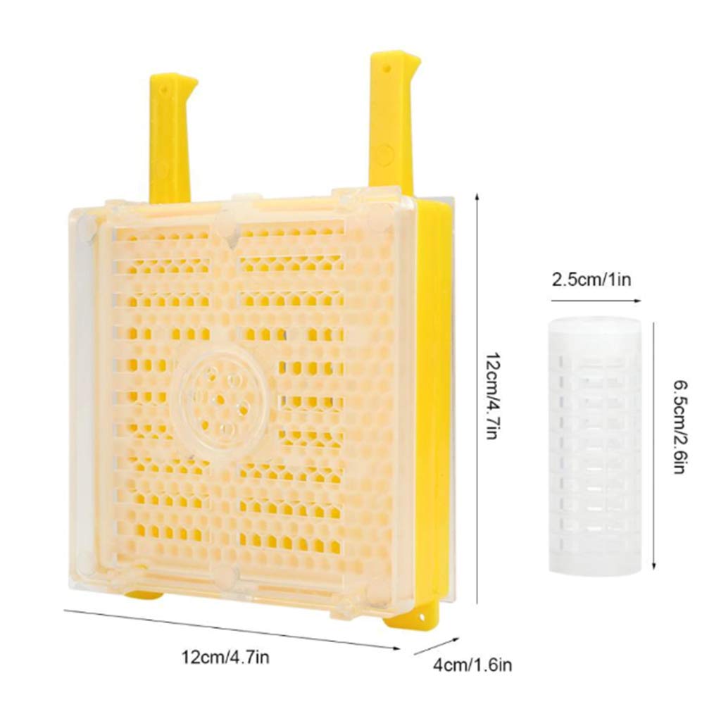 Kit complet d'élevage de la reine Jenter Queen pour l'élevage des abeilles, pour enlever les abeilles, mangeoires à oiseaux suspendues pour l'extérieur pour l'extérieur Mangeoire à oiseaux et poteaux