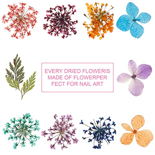Firtink 144 Stücke Nagel Getrocknete Blume, 4 Box 3D Nägel Kunst Trocken Blumen mit Pinzette Blumen Nagelkunst Aufkleber… – Bild 5
