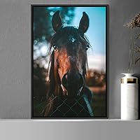 Framed Canvas Wall Art Horse Animals Dramatic Farmhouse/Country Horse Living Room Multicolor Photography - 16x24 inches