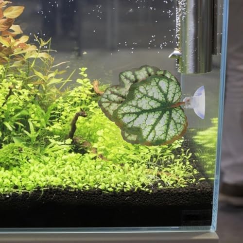 Image of 2Pcs Betta Fish Leaf Hammock Aquarium Plastic Betta Bed Resting Spawning Pad for Beta Fish Tank Accessories