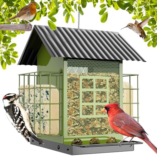 Bird Feeder with Suet Holder - Which One Will Attract the Most Birds? 6 FlowaFoli Bird Feeders for Outdoors Hanging, Metal Bird Feeder with Double Suet Cage Cake, Large Capacity, Birdfeeders Sturdy & Weatherproof, Easy to Clean & Refill, Great for Attracting Wild Birds
