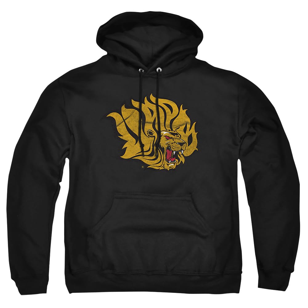 LOGOVISION Official Collegiate Distressed Primary Logo Adult Pullover Hoodie Collection — view 158