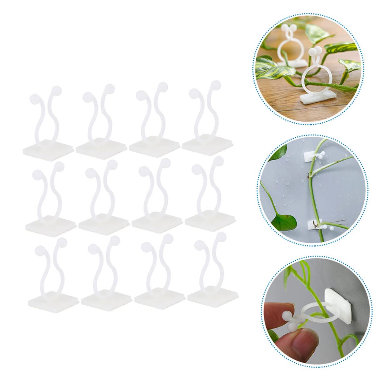 BESTonZON 5 Sätze Pflanzenstützclips Für Kletterpflanzen Wandaufhänger Für Monstera Und Andere Pflanzen Wiederverwendbare Clips Zur Fixierung Von Ranken Für Glatte Wände Und 100 Stück * 5