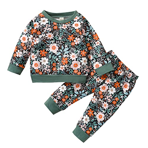 Image of RogPrincekids Baby Girl Clothes Set Long Sleeve Sweatshirts Tops Pants Toddler Girls Cute Floral Outfits