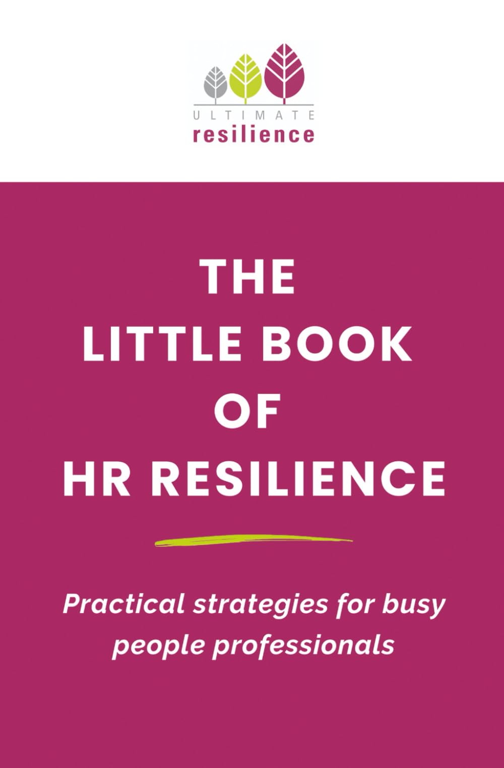 The Little Book of HR Resilience: Practical strategies for busy people professionals