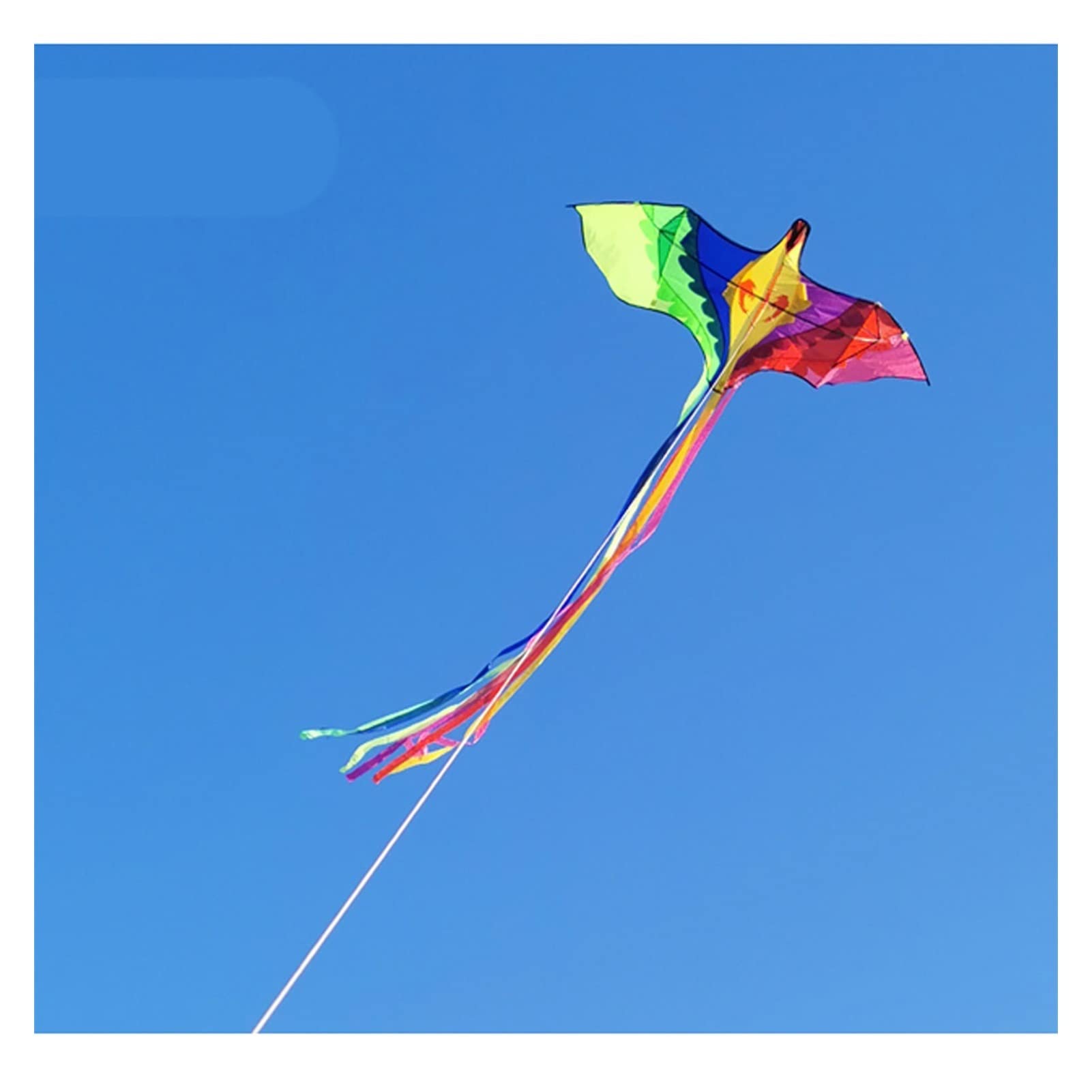 Cometa para niños, cometa colorida de Phoenix, cometa grande para niños, cometa para adultos, fácil de volar, cometa de cola larga, cometa colorida