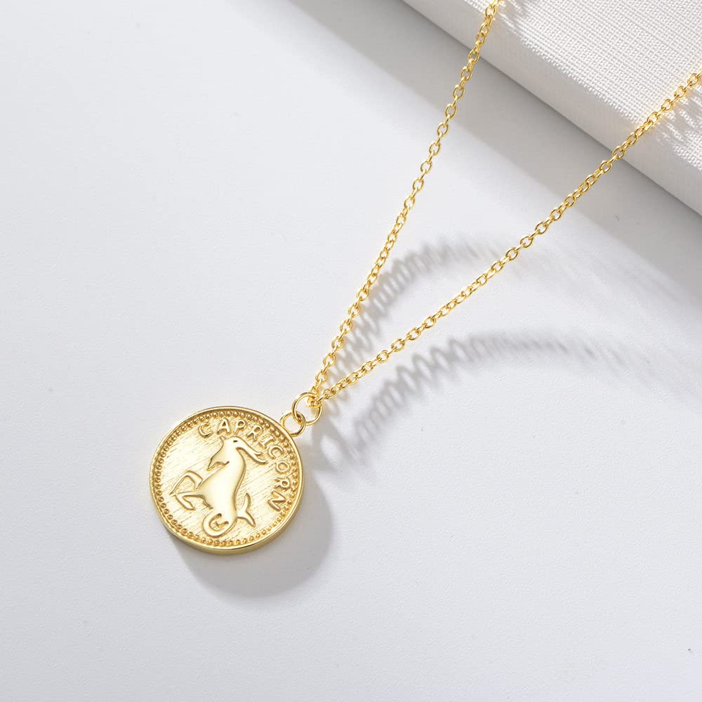 Sternzeichen Kette,S925 Silber Sternzeichen Halskette Für Frauen Exquisite Münze Halskette Gold Halskette Horoskop Anhänger Halskette Freundschaft Schmuck Geschenk Für Mädchen Männer,Steinbock